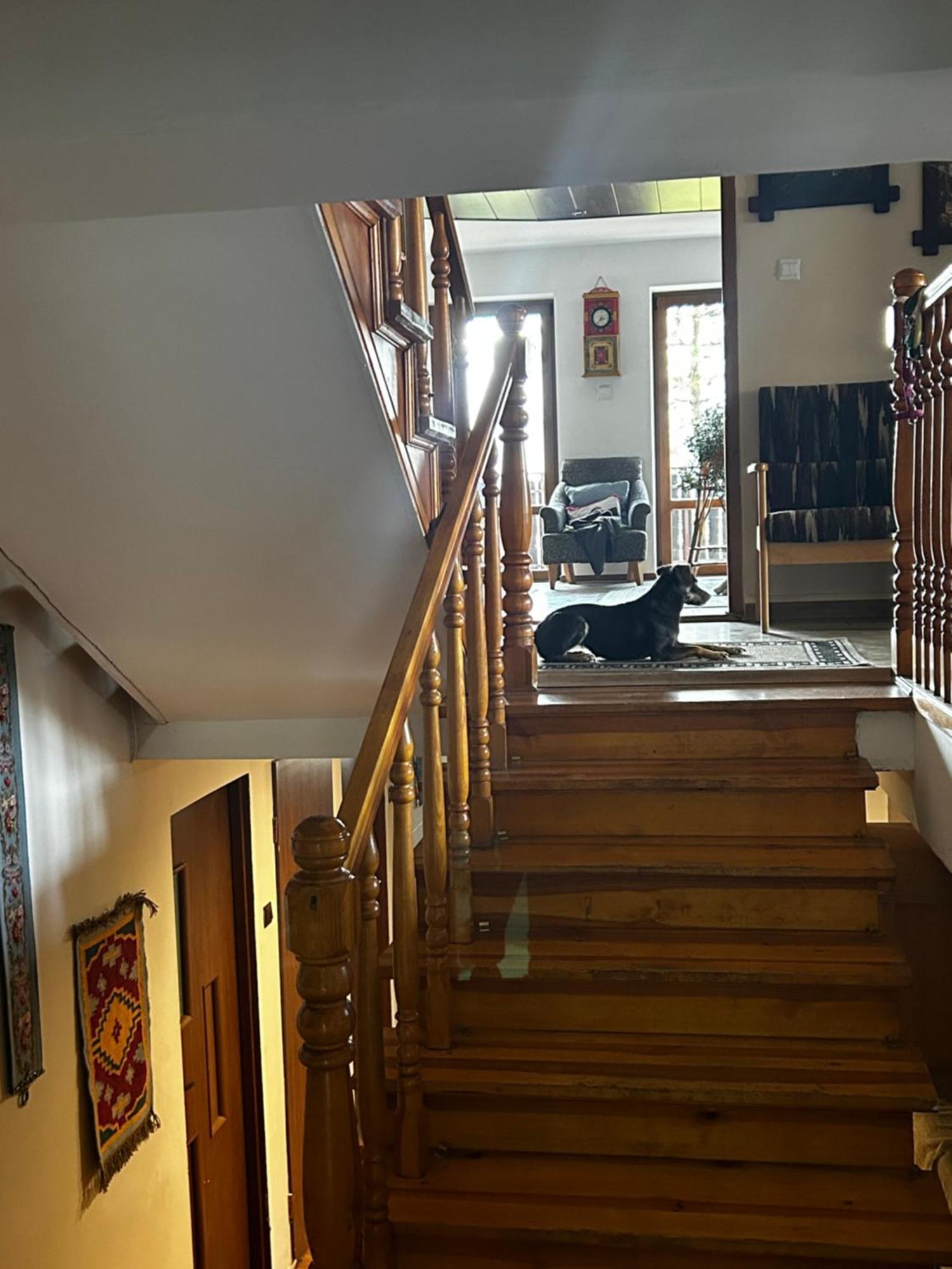 Willa Karolinka Stroza - Pet Friendly Myslenice Exterior photo